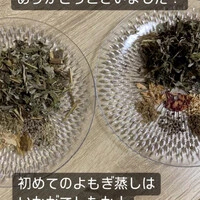 画像378