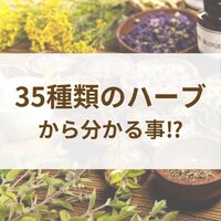画像471