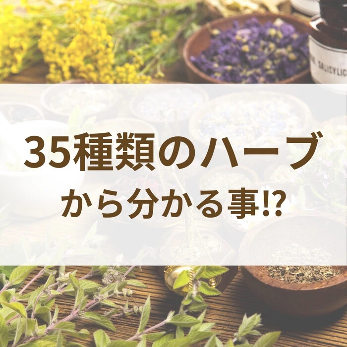画像471