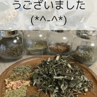 画像483