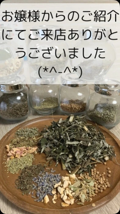画像483