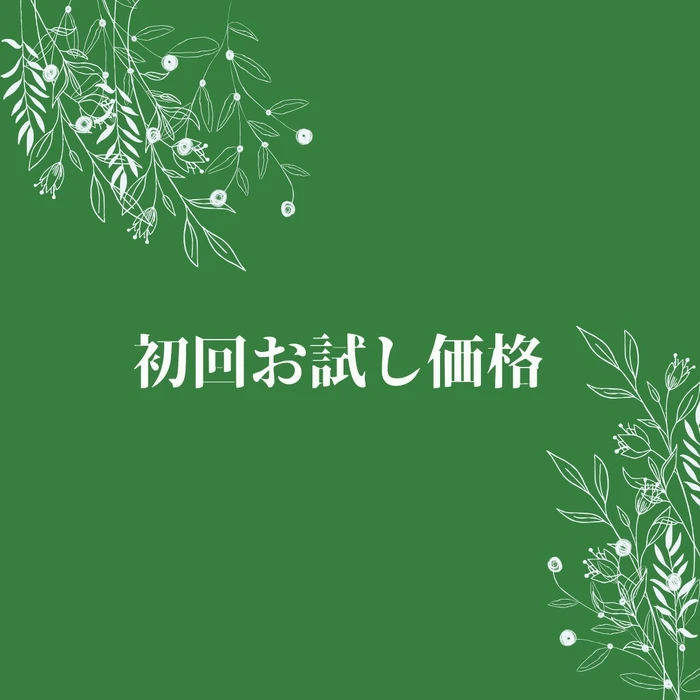 画像485